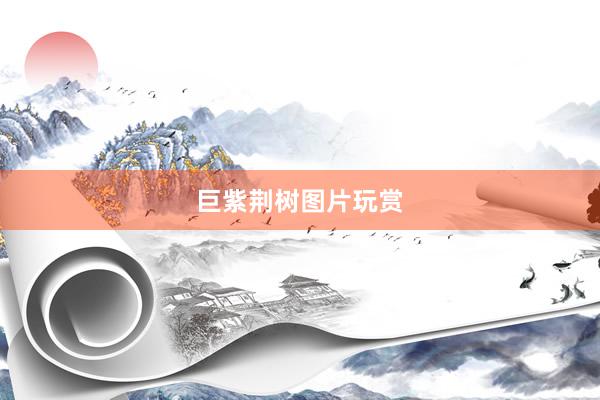 巨紫荆树图片玩赏