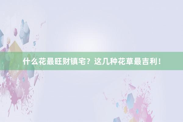 什么花最旺财镇宅？这几种花草最吉利！