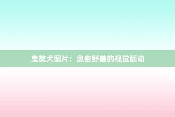 鬼獒犬图片：奥密野兽的视觉颤动